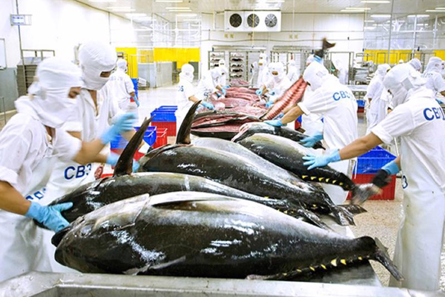 Xuất khẩu thủy sản giảm mạnh tại 5 thị trường chính