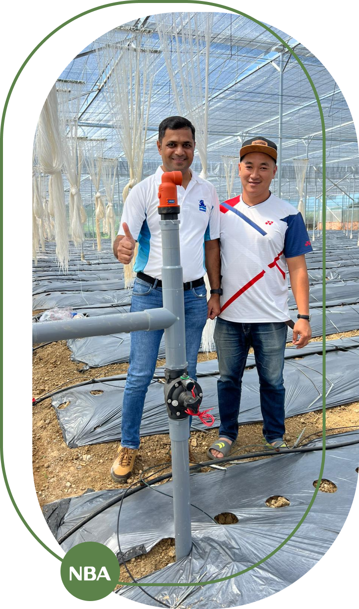 Lap dat Van dien tu Bermad tuoi nha kinh