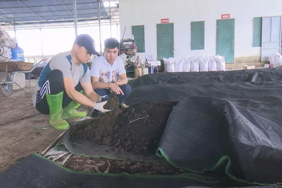 Đặt mục tiêu 50% diện tích trồng trọt dùng phân bón hữu cơ