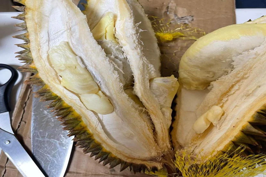 Hai lô hàng sầu riêng, ớt Việt tồn dư hóa chất bị Nhật Bản tiêu hủy