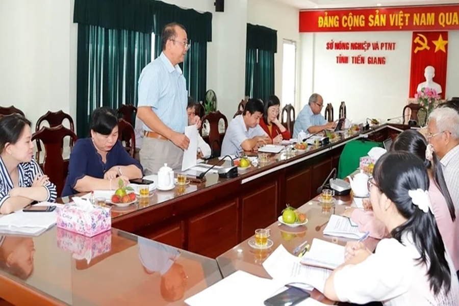 Hỗ trợ 4 tỉnh ĐBSCL liên kết sản xuất dừa