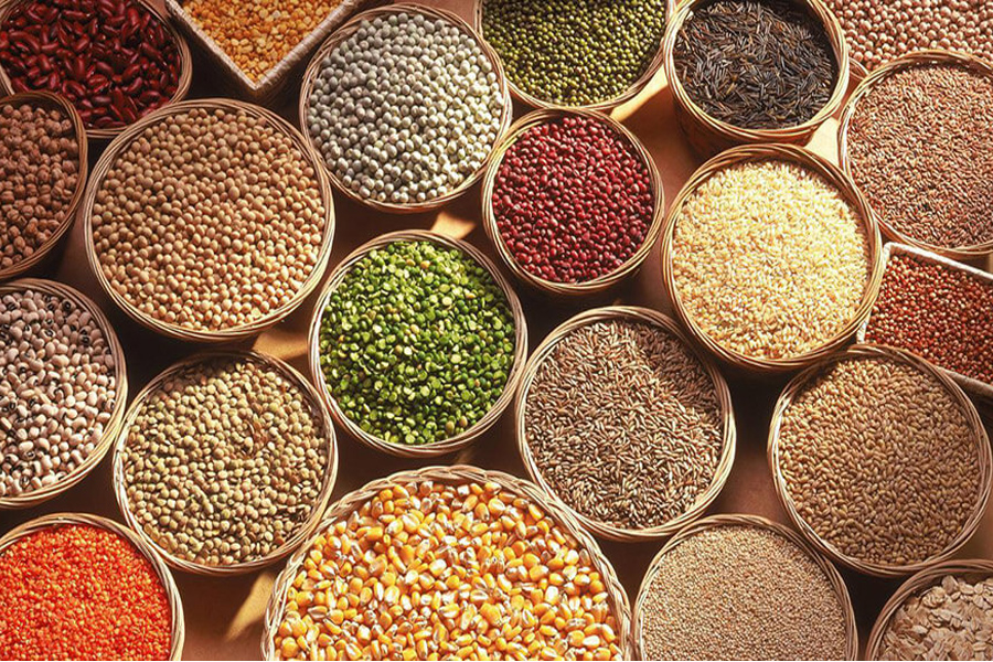 Những vấn đề cần chú trọng khi xuất khẩu nông sản sang EU