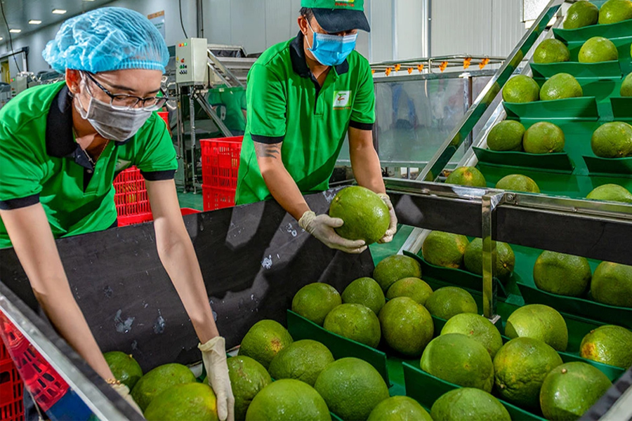 Những vấn đề cần chú trọng khi xuất khẩu nông sản sang EU