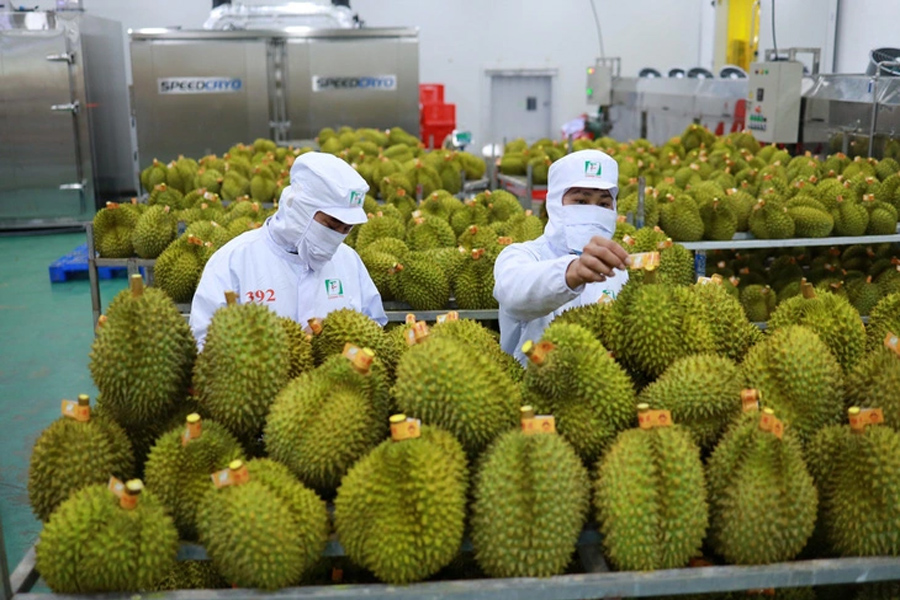 Nông nghiệp xuất siêu kỷ lục 12,07 tỉ USD