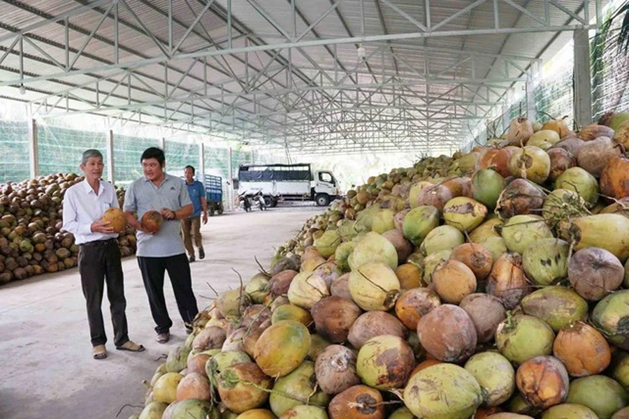 Triển vọng thêm hàng tỉ USD từ xuất khẩu sang Trung Quốc