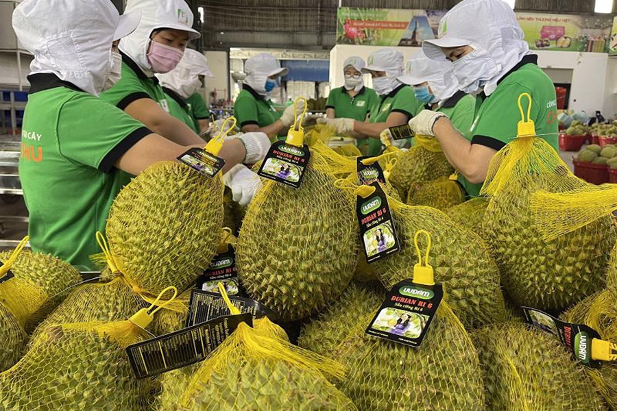 Triển vọng thêm hàng tỉ USD từ xuất khẩu sang Trung Quốc