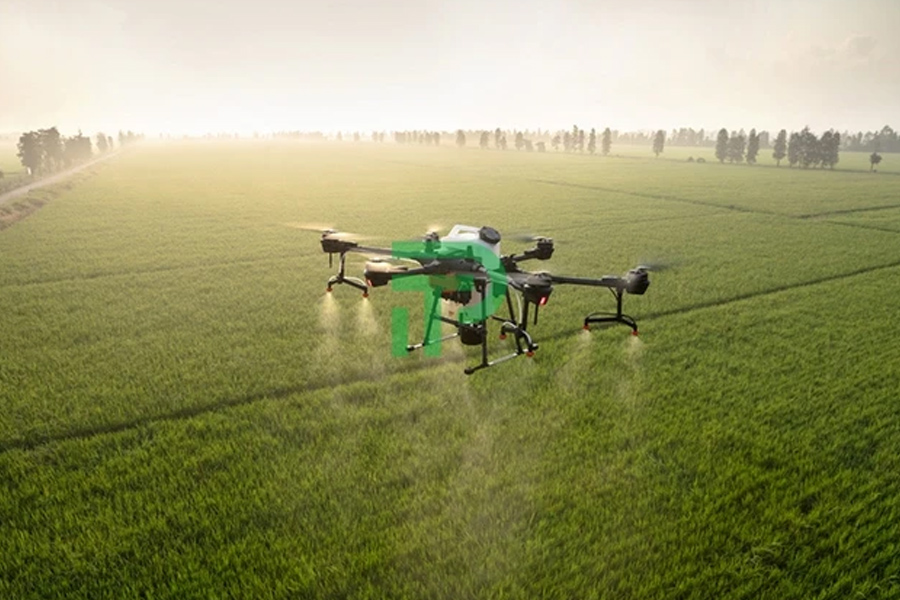 Ưu tiên phê duyệt thuốc bảo vệ thực vật sinh học hơn thuốc hóa học