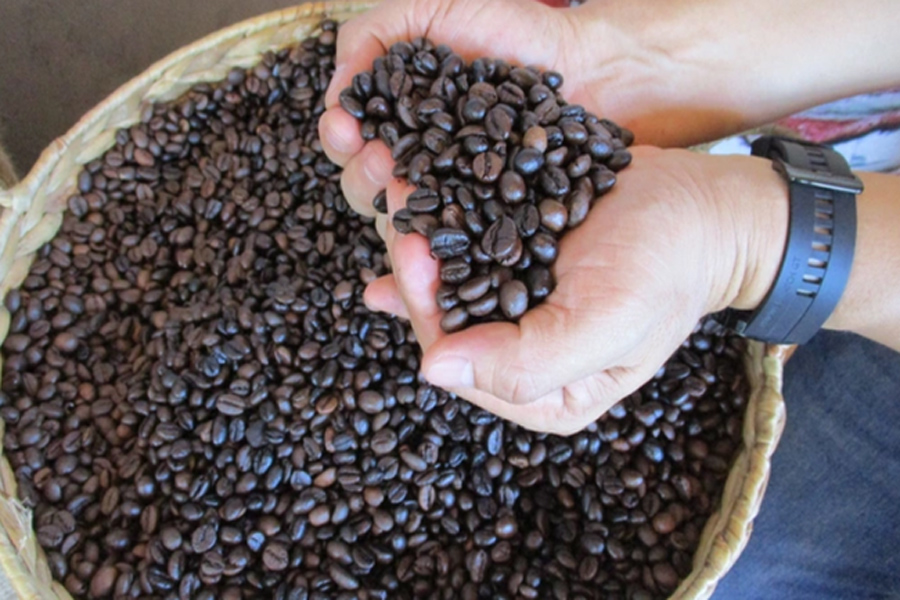 Xuất khẩu cà phê có thể đạt 5 tỷ USD năm 2024