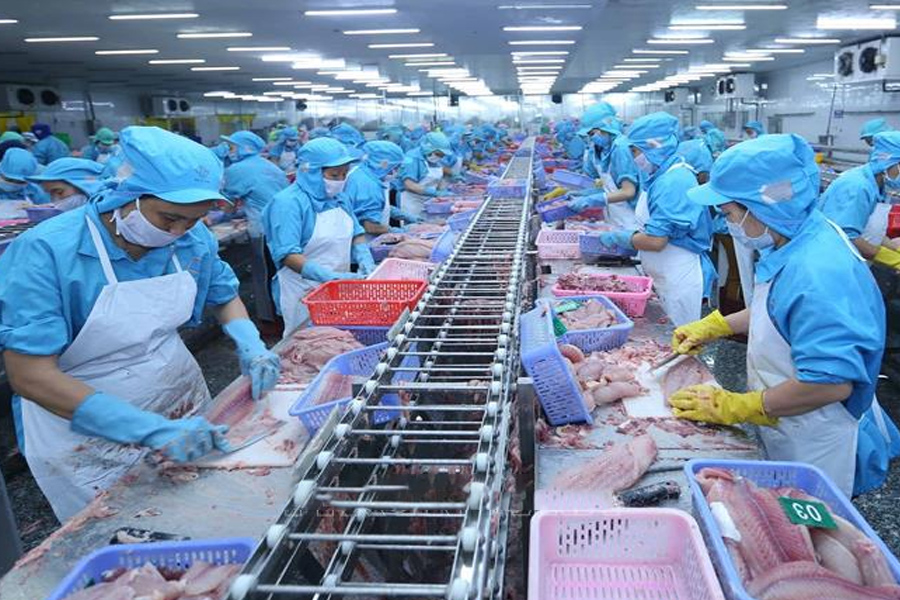 Xuất khẩu nông lâm thủy sản năm 2023 đạt trên 53 tỷ USD