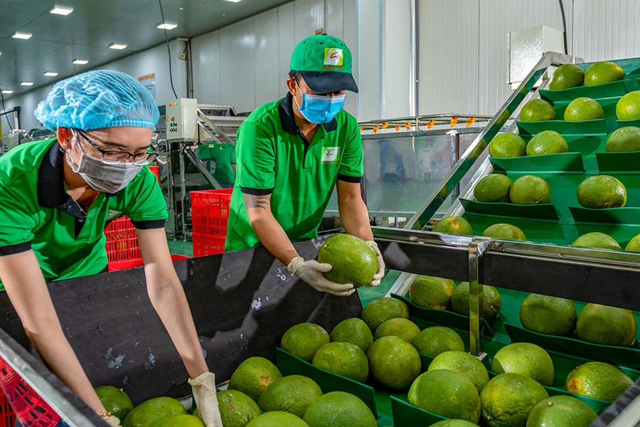 Xuất khẩu nông sản sang EU cần phải tuân thủ luật chơi