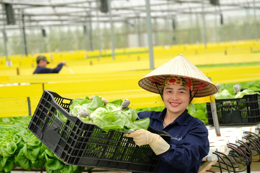 Xuất khẩu rau quả dự kiến mang về hơn 5.6 tỷ USD