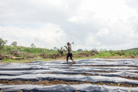 Rac thai nhua tu mang phu nong nghiep