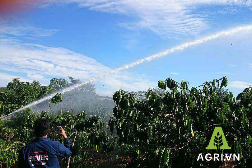 Top 5 súng tưới cà phê