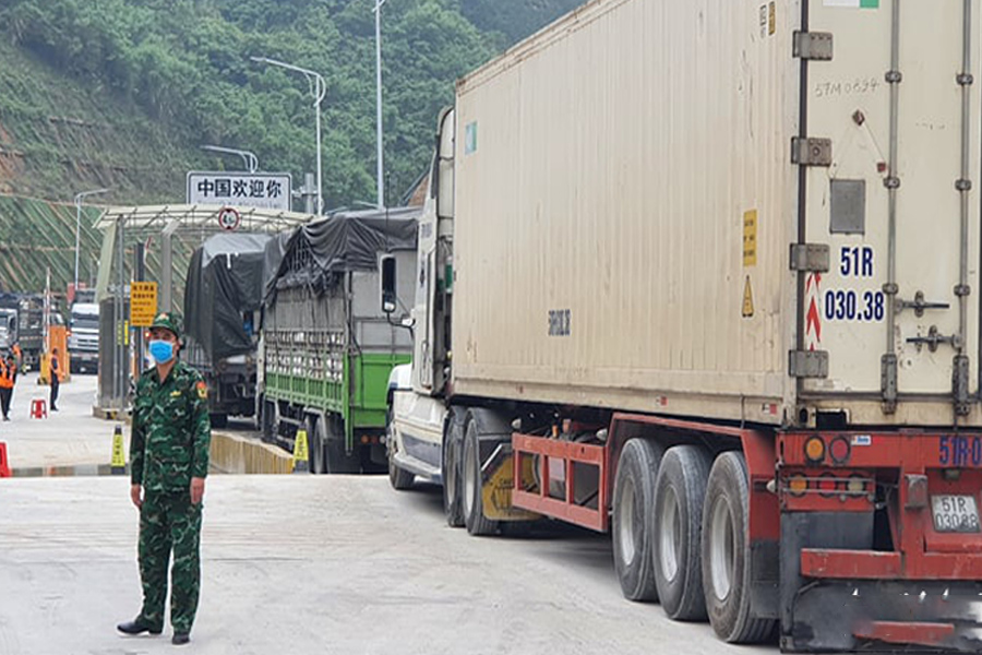 Cảnh báo lừa đảo khi xuất khẩu nông sản sang Trung Quốc