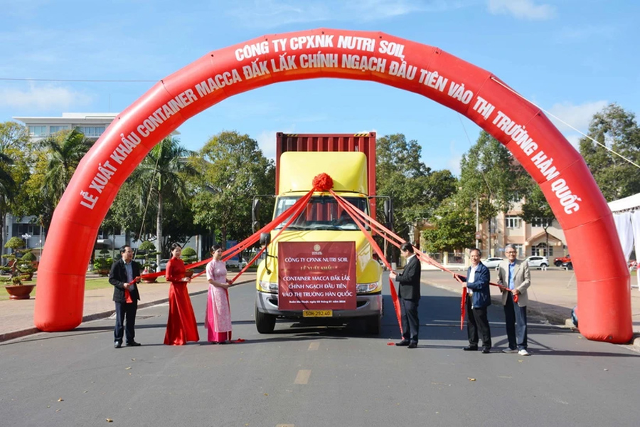 Lô mắc ca đầu tiên xuất khẩu chính ngạch sang Hàn Quốc