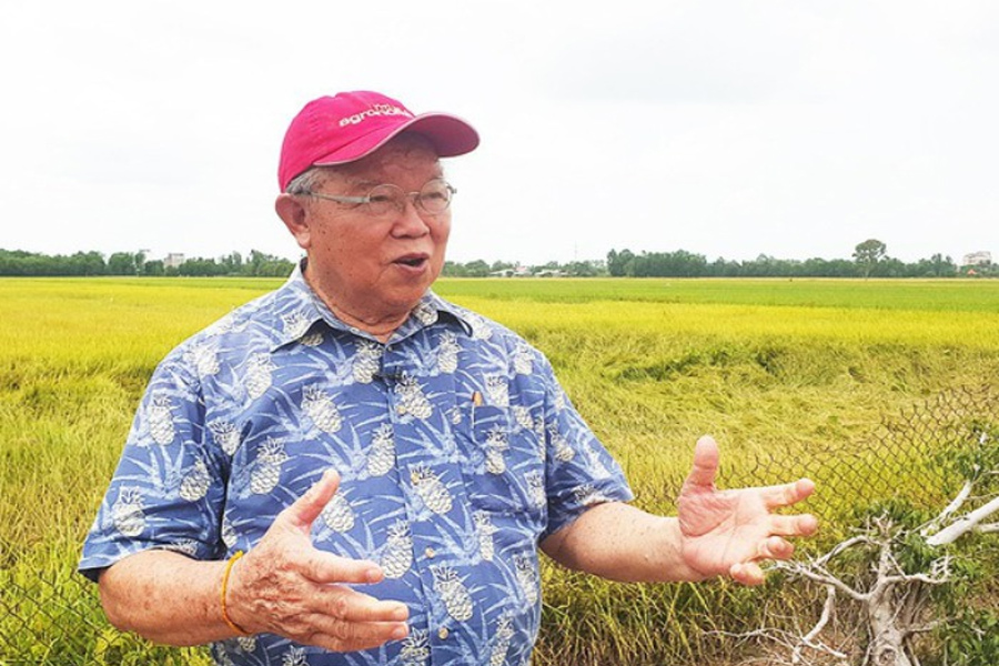 “Miền Tây có thể sản xuất 4 vụ lúa một năm”