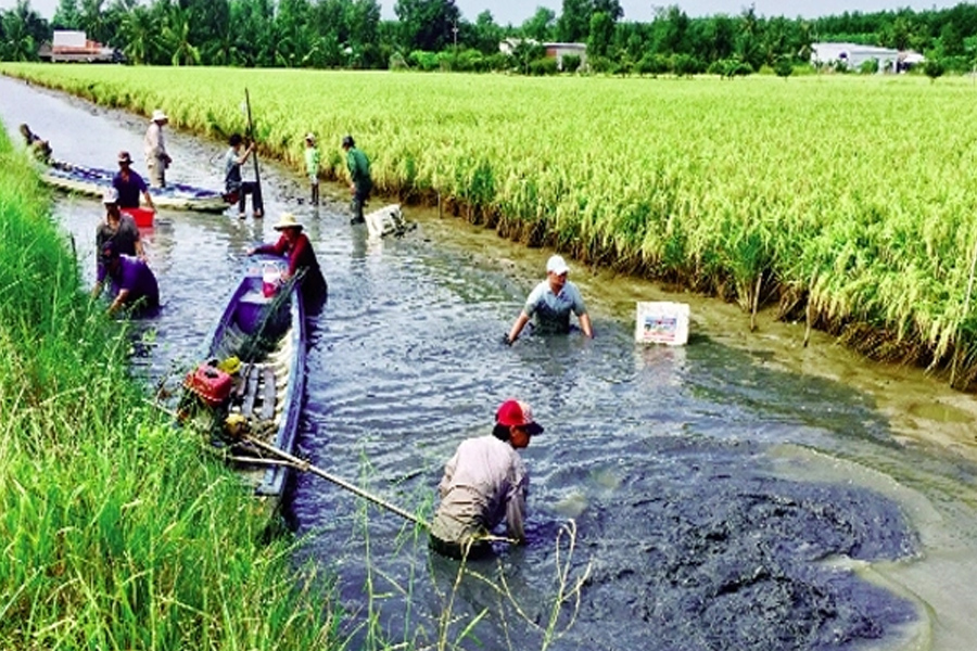 Ngành tôm hướng tới mục tiêu 4 tỷ USD