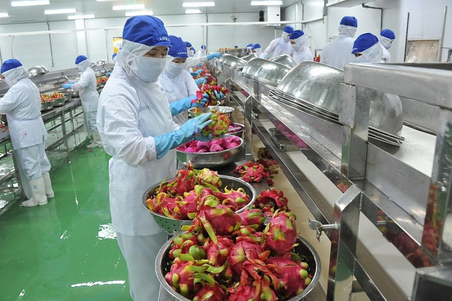 Những yếu tố thuận lợi khi xuất khẩu nông sản sang Trung Quốc