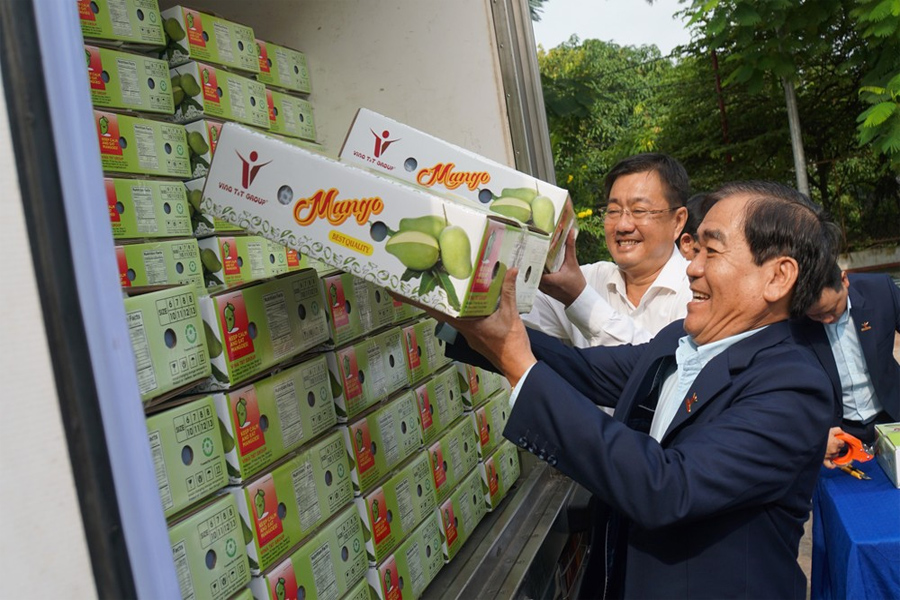 Xoài tượng An Giang lần đầu Xuất khẩu sang Úc và Mỹ