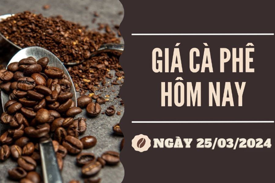 Giá cà phê hôm nay 25/3/2014