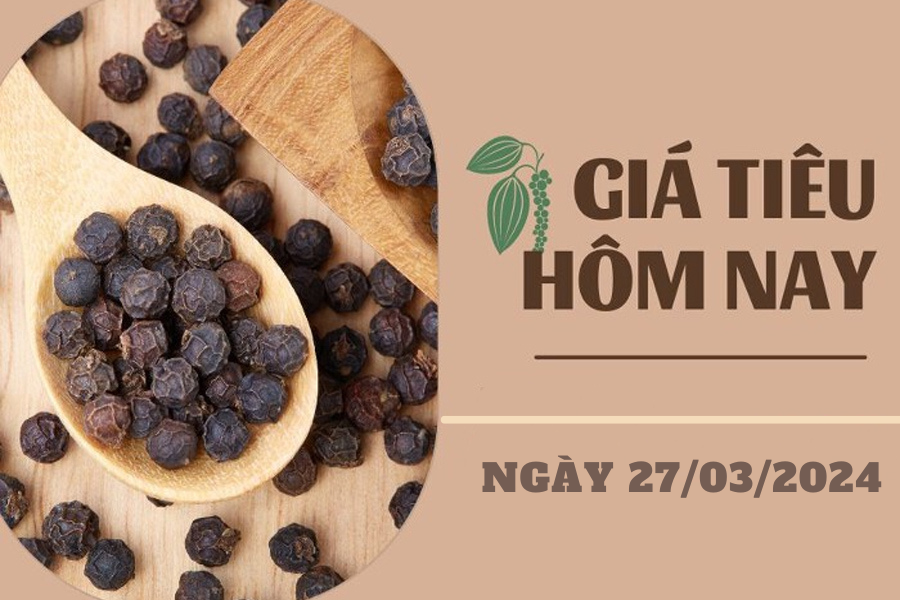 Giá tiêu hôm nay 27/3/2024