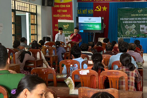 Hoi-thao-chong-han-cho-cay-mia-Ninh-Thuan