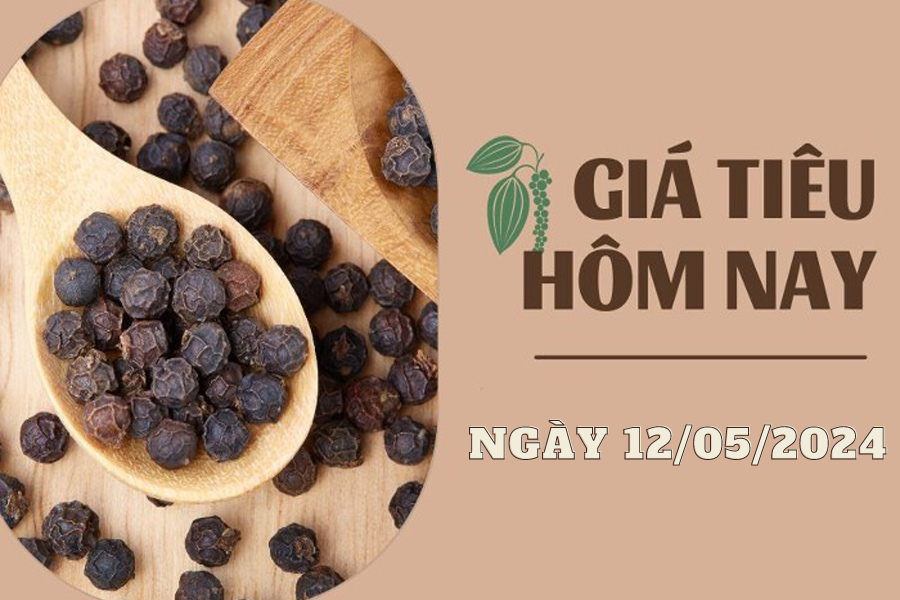 Giá tiêu hôm nay 12/5/2024