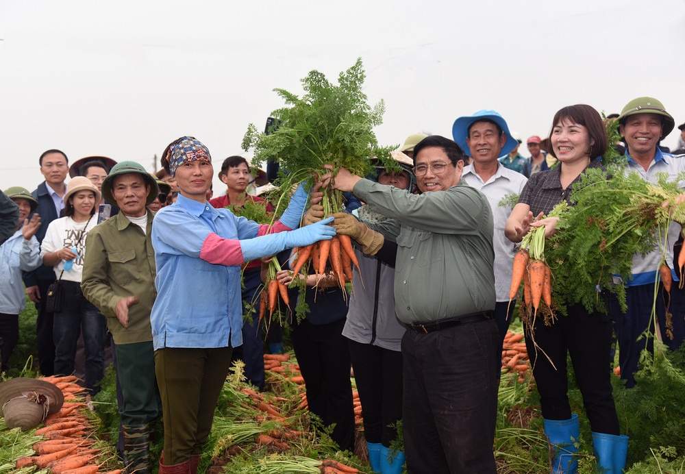 Nông nghiệp Việt Nam Quyết Tâm Vươn Lên Vai Trò Tiên Phong, Kiến Tạo Đột Phá