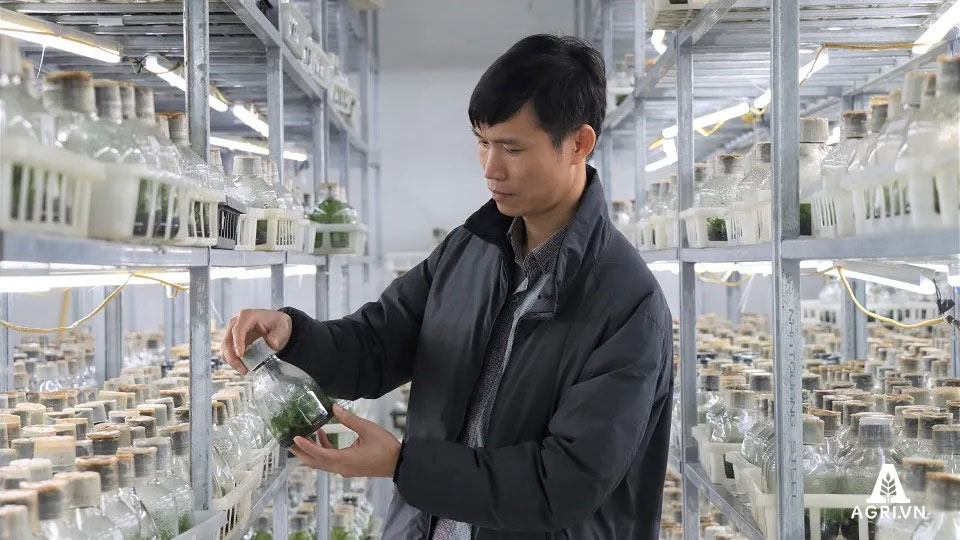 Phát-triển-ngành-hoa,-cây-cảnh-cần-cơ-chế,-chính-sách-đồng-bộ