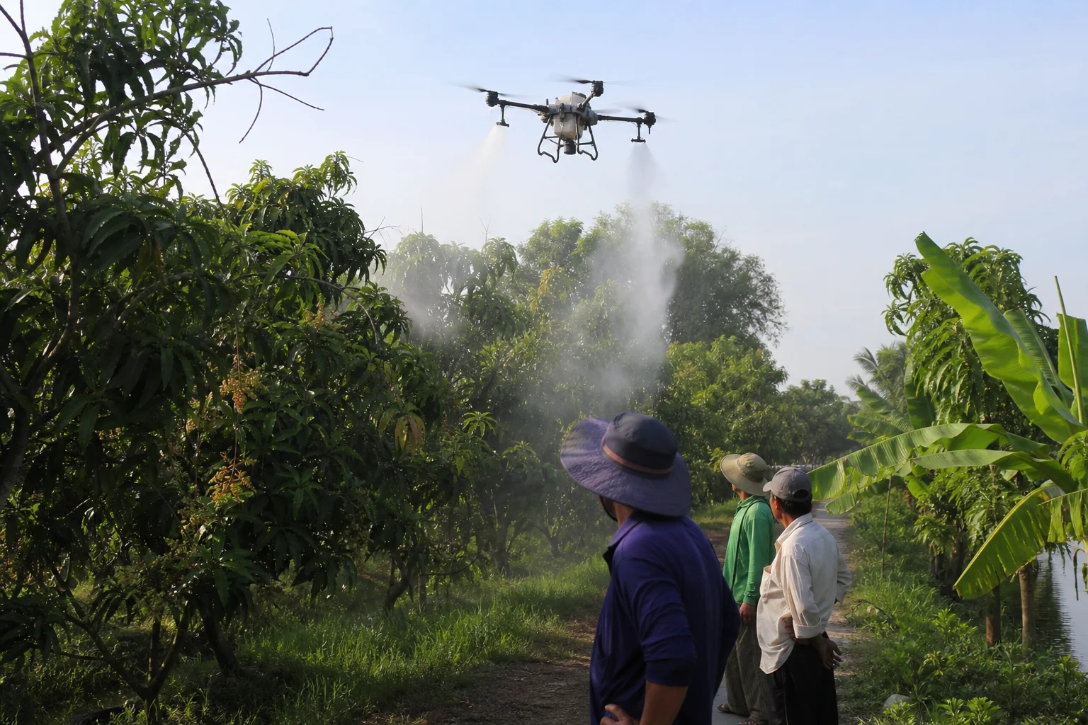 Đưa drone cây ăn trái vào Đồng Tháp, nhà vườn tiết kiệm nước và công lao động