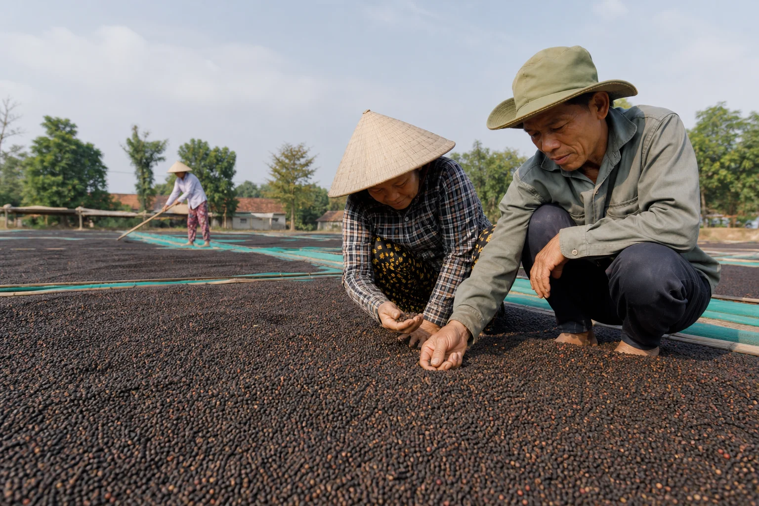 Giá tiêu 29/5 đi ngang, thị trường cuối vụ chịu sức mua quốc tế yếu
