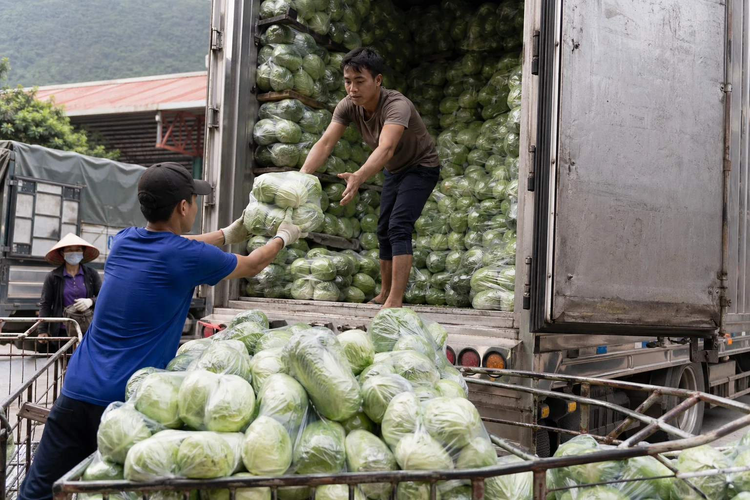 Ngừng giải quyết thủ tục xuất khẩu nông sản sang Trung Quốc là tin không chính xác