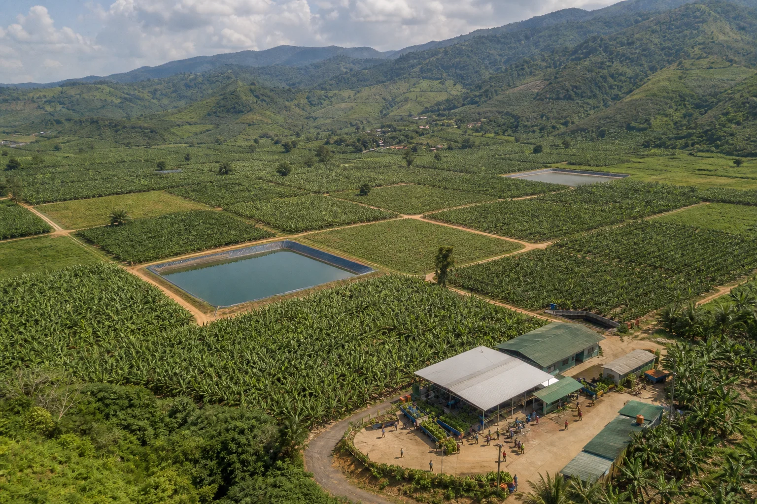 THACO AGRI và nông nghiệp xanh: Chuỗi giá trị giữa Đông Dương