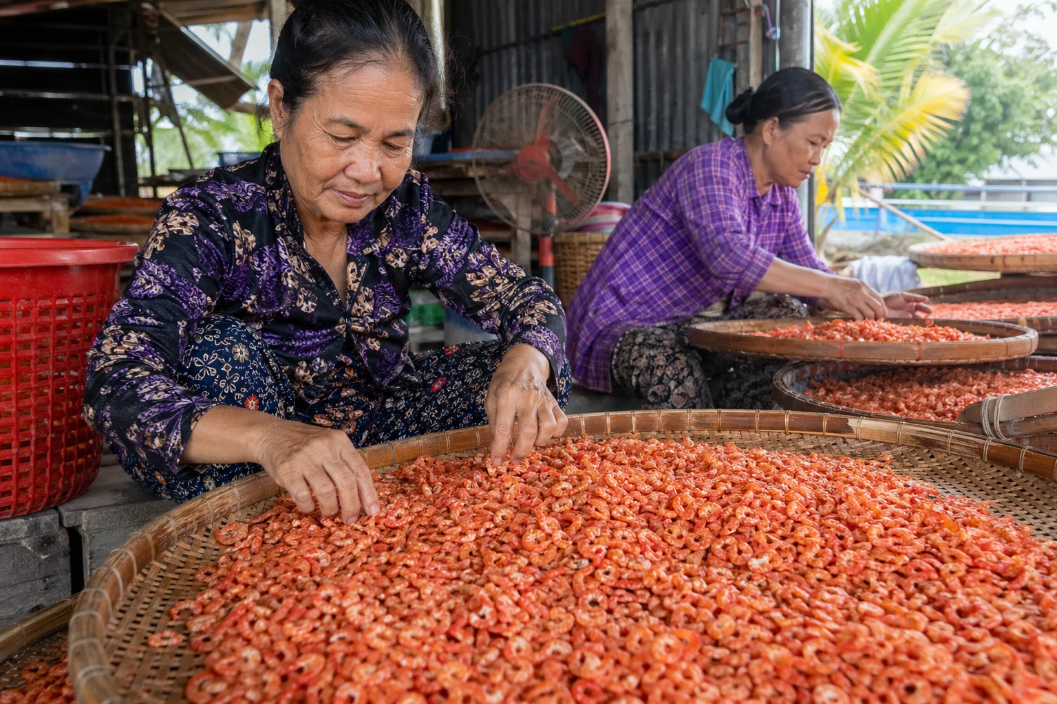 Tôm khô móng chim Cà Mau tiền triệu hút khách trước mùa Tết